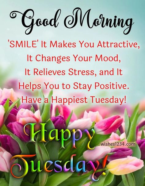 Happy Tuesday Pictures, Happy Tuesday Images, Good Morning Tuesday Images, Tuesday Pictures, Good Morning Prayer Quotes, Happy Tuesday Morning, Tuesday Quotes Good Morning, Tuesday Images, Tuesday Greetings