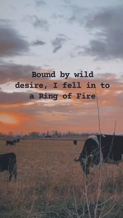 Country Artist Quotes, Country Lyrics Wallpaper Aesthetic, New Beginning Love Quotes, Country Quote Backgrounds, Country Quotes To Live By, Western Quotes Inspirational Wallpaper, Western Sayings And Quotes, Country Song Quotes Wallpaper, Howdy Quotes