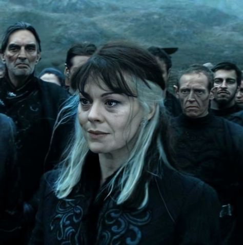 Narcissa Malfoy, The Dark Lord, Types Of Content, Bellatrix Lestrange, Killer Queen, Wallpaper Images, Dark Lord, Visual Content, Flower Wallpaper