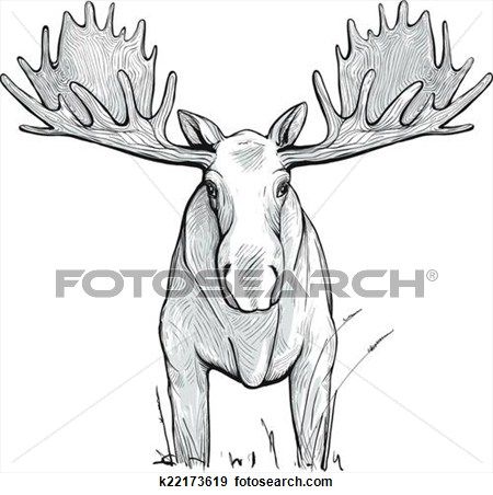 Moose Illustration View Large Clip Art Graphic Moose Pics, Moose Illustration, Moose Skull, Moose Tattoo, Moose Pictures, Moose Logo, Moose Head, Moose Antlers, Animal Heads