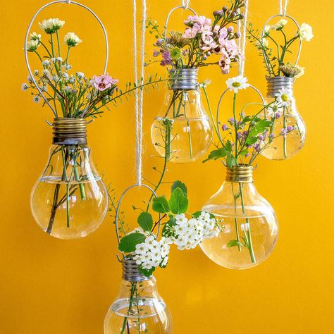 10 Wonderful DIY Wall Vase Decor Anime Garden, Pumpkins Wallpaper, Wall Vase Decor, Light Bulb Vase, Hanging Wall Vase, Spring Diy Projects, Hanging Light Bulbs, Teenage Room Decor, Diy Frühling