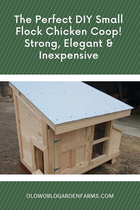 Easy To Clean Small Chicken Coop, Easy Small Chicken Coop Diy, Small Flock Chicken Coop, Simple Small Chicken Coop, Easy Small Chicken Coop, Low Profile Chicken Coop, Diy Chicken Coop For 4 Chickens, 4x4 Chicken Coop Diy, Handmade Chicken Coop