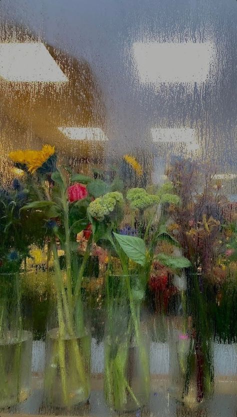 Rainy Window Flowers Wallpaper, Foggy Window Flower Wallpaper, Rainy Flower Wallpaper, Cold Spring Aesthetic, Rainy Spring Aesthetic, April Wallpaper, Weather Wallpaper, Rainy Wallpaper, Rain Window