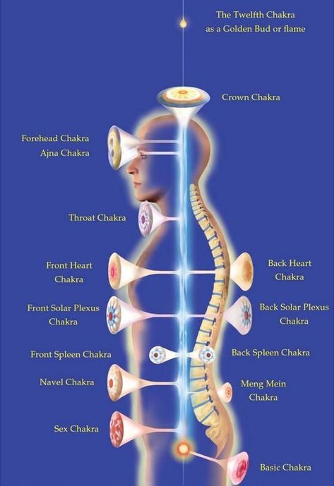 Pranic Healing, Magia Das Ervas, Chakra System, Energy Medicine, Vie Motivation, Body Energy, Healing Modalities, Les Chakras, Kundalini Yoga