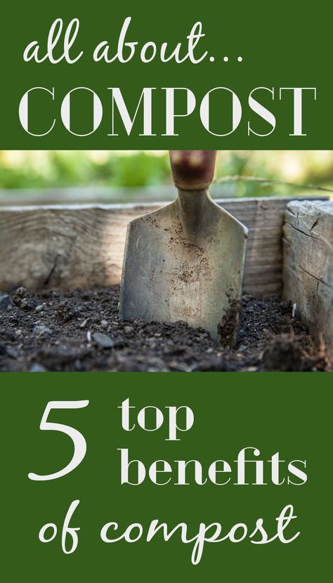 What can compost do for you? Here are five major benefits of composting. Benefits Of Composting, Compost Benefits, Apartment Composting, Making A Compost Bin, Composting 101, Organic Fertilizers, Composting Methods, Organic Bar, Composting Process