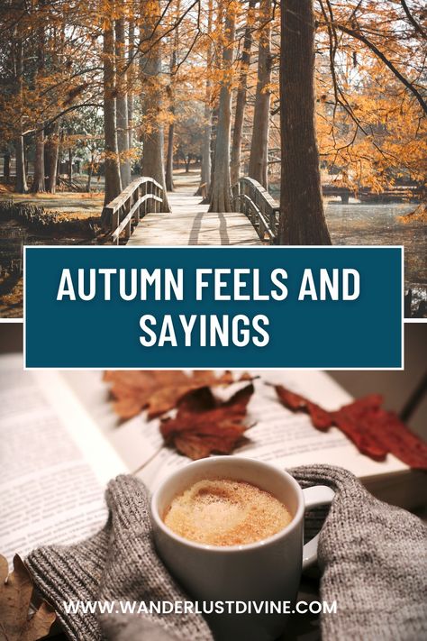 Autumn vibes and sayings for all those who love fall Autumn Sayings, October Magic, Fall Baking Ideas, Autumn Words, Autumn Playlist, Autumn Ambience, Fall Sayings, Super Club, Thanksgiving Football