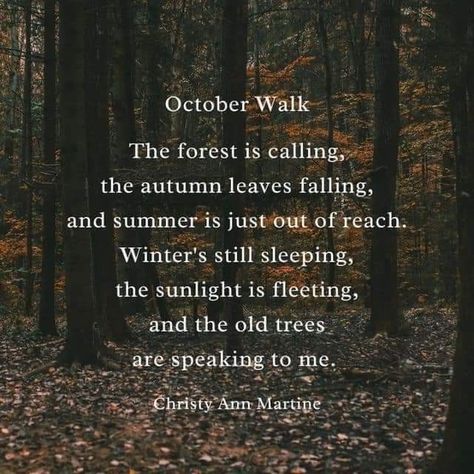 October Poem, Autumn Poetry, Tree Poem, Autumn Poems, October Quotes, Autumn Magic, Old Trees, Autumn Quotes, Beating Heart