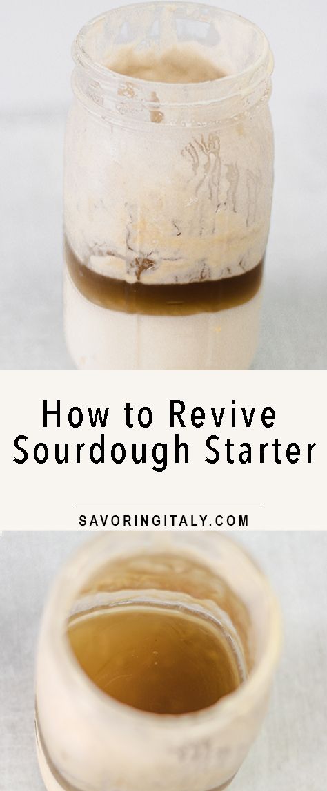 How to revive sourdough starter- learn how to bring your beloved sourdough starter back to life (even if it’s been months!). Whether you’re new to sourdough baking or a seasoned pro, I’ll show you how to revive a sourdough starter using some basic techniques that I’ve discovered over time. How To Revive Frozen Sourdough Starter, Waking Up Sourdough Starter, Sourdough Mother Starter, How To Revive Sourdough Starter From Fridge, How To Activate Sourdough Starter, How To Wake Up Sourdough Starter, How To Fix Sourdough Starter, How To Revive Sourdough Starter, Sharing Sourdough Starter