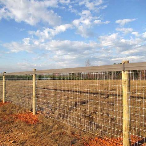 No Climb Fence Ideas, Wood Fence With Wire Mesh, No Climb Fence, No Climb Horse Fence, Dog Yard Fence, Wire And Wood Fence, Farm Fence Gate, Cattle Panel Fence, Cattle Facility