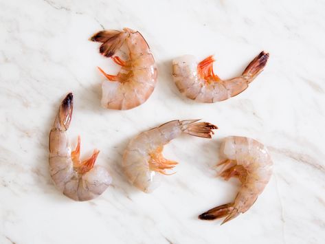 shrimp-guide Shrimp Sizes, Small Shrimp, Spot Prawns, Rock Shrimp, White Shrimp, Tiger Shrimp, Calorie Snacks, Food Knowledge, Seafood Stock