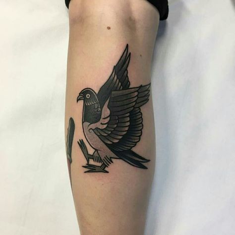 Tattoo done by: Castor Raubadler #paloma #palomatattoo American Traditional Pigeon Tattoo, Pigeon Tattoo Traditional, Traditional Pigeon Tattoo, Dove Tattoo Traditional, Pigeon Tattoo Design, Paloma Tattoo, Tattoo Dove, Pigeon Tattoo, Traditional Tattoo Man