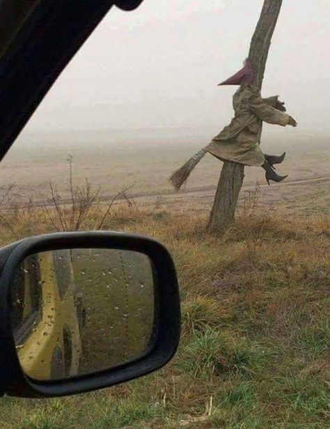 Funniest Photos, Aviation Humor, 웃긴 사진, Land Art, Best Funny Pictures, Scarecrow, Bones Funny, Funny Photos, Funny Cute