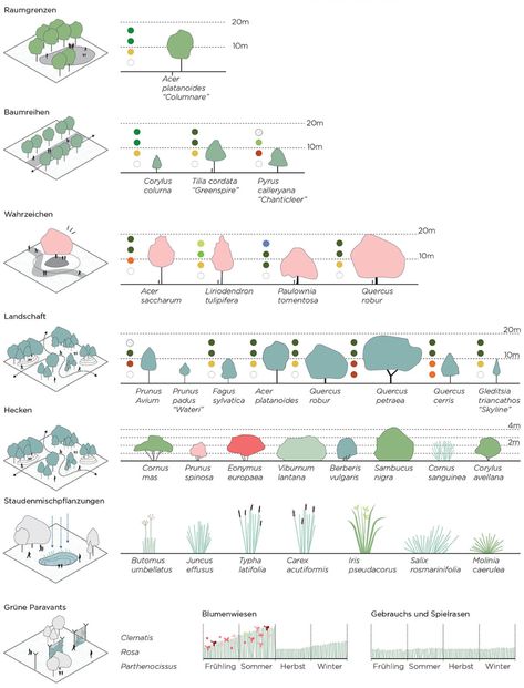 SPIELRAUM – ecosistema urbano Landscape Diagram, Urban Regeneration, Landscape Architecture Diagram, Landscape Architecture Graphics, Student Portfolio, Urban Design Diagram, Urban Analysis, Urban Design Graphics, Heidelberg Germany