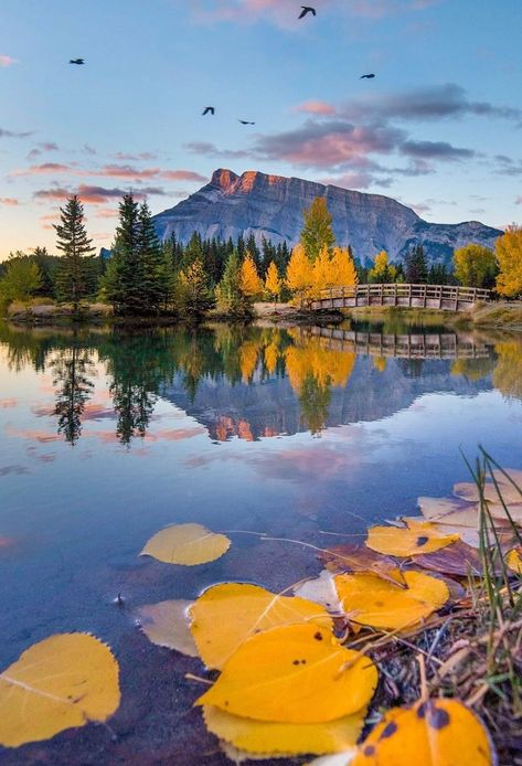 Beauty in all things... - What a beautiful morning… swissclick_photography Banff Fall, Banff Alberta Canada, Cozy Weather, Reflection Pictures, A Beautiful Morning, Banff Alberta, Popular Travel Destinations, Canada Destinations, Mountain Photos