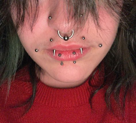 angel fangs piercing , vertical labret piercing, dahlia piercings, septum piercing Angle Fangs And Snake Bites, Shark Bites Piercing Rings, Vertical Snake Bites Piercing, Raccoon Bites Piercing, Angel Bites And Snake Bites, Snake Bites Jewelry, Vertical Angel Bites, Angel Fangs And Snake Bites, Angel Bites Piercing Fangs