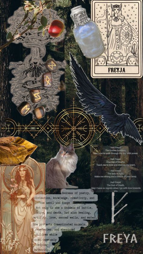 #Freya #goddess #nordic Freya Wallpaper Goddess, Nordic Aesthetic Wallpaper, Nordic Wallpaper Iphone, Nordic Witchcraft, Freyja Aesthetic, Freya Core, Norse Mythology Goddesses, Erin Core, Freyja Goddess