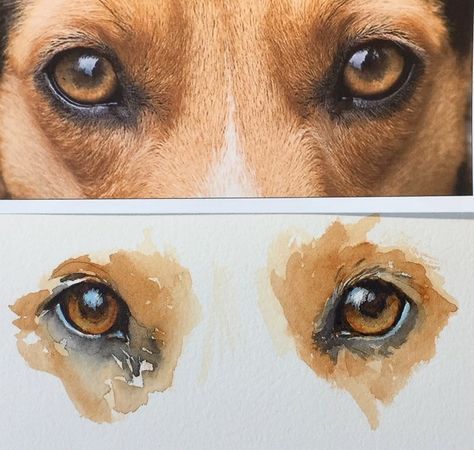 Dogs Eyes Painting, Dog Eye Painting, Dog Watercolor Portrait, Watercolor Dog Eyes, How To Paint Dogs Eyes, Dogs Eyes Drawing, Painting Dog Eyes, Dog Eye Drawing, Dog Eyes Drawing