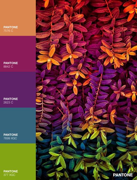 Jewel Tones Color Palette Hex Codes, Home Decor Color Pallet Ideas, Colors Of Mexico, Copper Color Combinations, Oil Slick Color Palette, Weird Color Combinations, Sofisticated Color Palette, Great Color Combinations, Mercury Color Palette