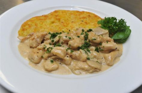 Zurich-style ragout of chicken in mushroom and cream sauce (Zurich Geschnetzeltes) with potato rosti | Otago Daily Times Online News Potato Rosti, Hospitality Management, Online News, South Island, Cream Sauce, International News, Product Photos, Zurich, Dipping Sauce