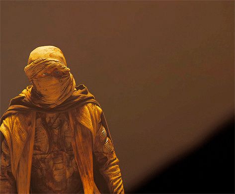 Paul Atreides Gif, Dune Gif, Fremen Dune, Dune Novel, Dune 2021, Dune Part Two, Dune Art, Winter Arc, One Step Beyond