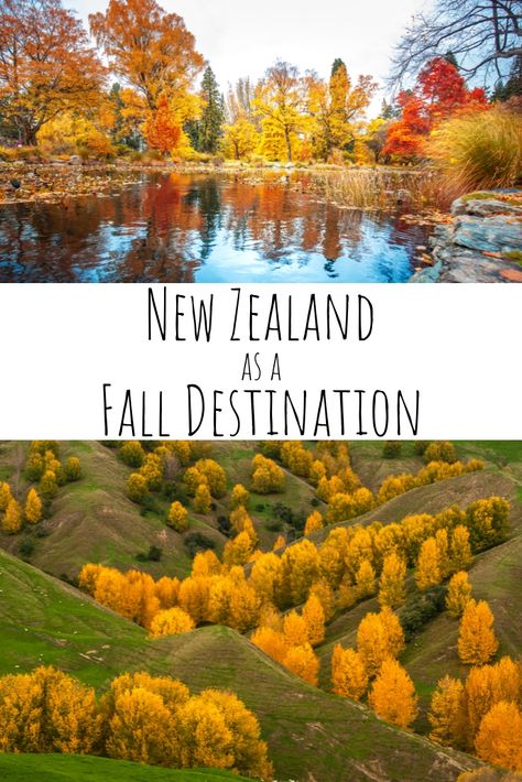 Fall is often a forgotten season in New Zealand, but here are some great reasons why you should consider a fall visit to New Zealand! New Zealand Autumn, New Zealand Travel Guide, Lake Wanaka, Australia Trip, Visit New Zealand, Travel New Zealand, Photos Black And White, Oceania Travel, Travel Winter