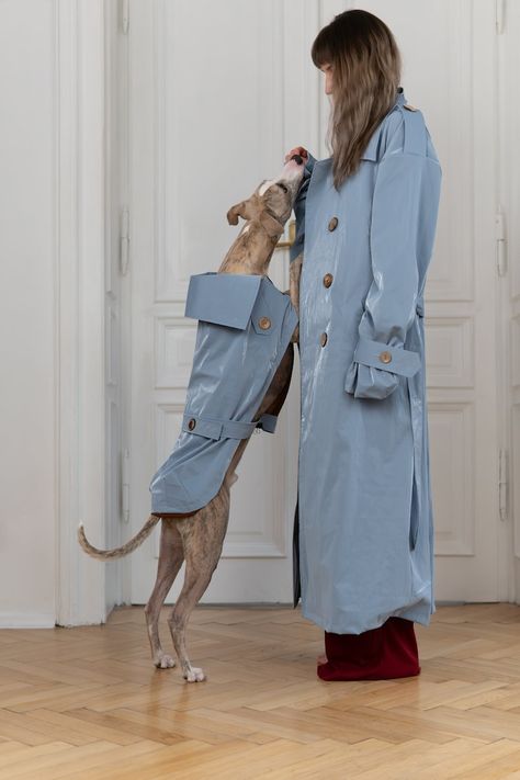 Eco-friendly Light Blue Trench Coat for Dogs Matching Owner-dog Outfit Sustainable Pet Fashion - Etsy Light Blue Trench Coat, Dog And Owner Matching, Human Photography, Dog And Owner, Blue Trench Coat, Pet Fashion, Whippet, Dog Tshirt, Greyhound