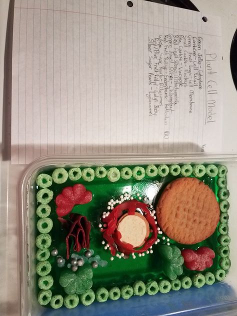 Edible Jello Plant Cell Project Jello Plant Cell Project, 3d Plant Cell Project, 3d Plant Cell, Edible Cell Project, Plant Cell Project, Edible Cell, Cell Model Project, Plant Cell Model, School Tricks