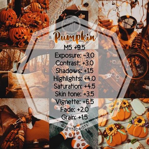 Autumn Filter, Fall Lightroom Presets, Fall Filter, Fall Vsco, Orange Filter, Vsco Themes, Best Vsco Filters, Vintage Photo Editing, Photoshop Filters