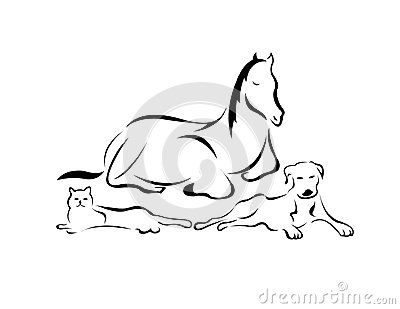 An illustration of three domestic animals: a dog, a cat and a horse. Horse And Dog Tattoo, Horse Outline, Inspo Tattoo, Horse Illustration, Domestic Animals, Mini Horse, Horse Tattoo, Horses And Dogs, Dog Silhouette