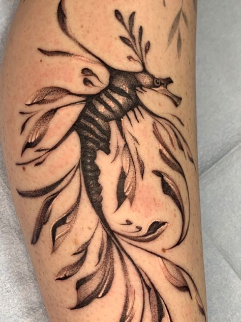 Leafy seadragon tattoo by Faisal Al-lami @tattoo.sal ———- #dallastattooartist #dallastattoos #art #drawing #inked #sleevetattoo #tattoomedia #seadragon #aquatictattoo #seatattoo #fishtattoo #dallasfitness #dfwtattoos #dfwtattooartist #blackandgreytattoo #microrealismotattoo #microrealism #peakneedles #dynamicink Triassic Cuddle Tattoo, Sea Kelp Tattoo, Seaweed Leg Tattoo, Sea Animal Tattoos For Women, Sea Dragon Tattoo, Floral Sea Life Tattoo, Sea Creature Line Tattoo, Leafy Sea Dragon Tattoo, Sea Creature Tattoo