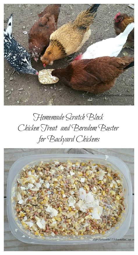 Leftover Lettuce, Urban Chicken Farming, Portable Chicken Coop, Chicken Life, Chicken Run, Chicken Treats, Best Chicken Coop, Raising Backyard Chickens, Building A Chicken Coop