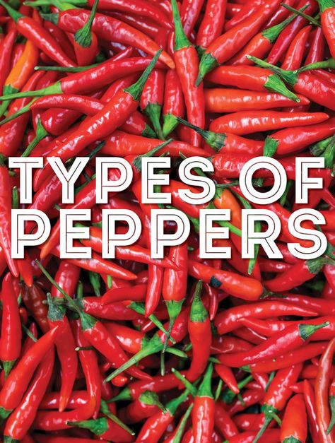 Yellow Chili Peppers, Pepper Varieties, Hot Pepper Recipes, Red Moles, Mexican Chili, Types Of Peppers, Roasted Red Pepper Soup, Mole Sauce, Dried Peppers