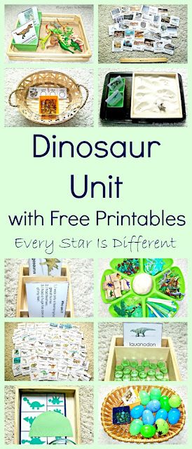 Dinosaur Homeschool Unit, Dinosaur Study Preschool, Dinosaur Learning Activities, Dinosaurs Activities, Dinosaur Unit Study, Dinosaur Lesson, Dinosaur Theme Preschool, Dinosaur Activities Preschool, Free Printables For Kids