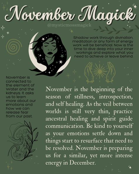 November Magick, Witchy Business, Witch Spirituality, Magick Spells, Book Of Shadow, Wicca Witchcraft, White Witch, Witchy Stuff, Energy Work