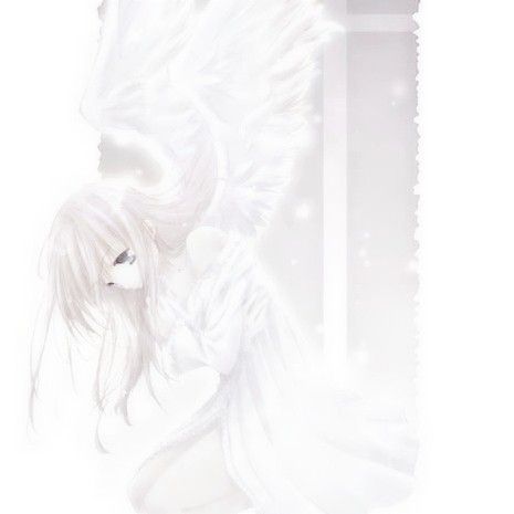 Angelcore Icon, Angelcore Aesthetic, White Banner, Anime Goth, Cute Headers For Twitter, Doll Aesthetic, Cute Headers, Overlays Picsart, Color Vibe