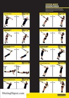 Trx on Pinterest | Upper Body Exercises Trx Workouts Routine, Trx Workouts For Women, Trx Workout Plan, Trx Full Body Workout, Trx Exercises, Upper Body Exercises, Trx Suspension Training, Beginner Pilates, Trx Training