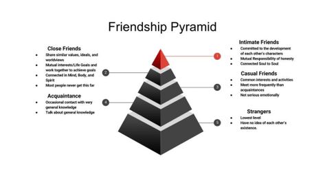 Stages of Friendship | Humans Levels Of Friendship, Friendship Articles, Person Falling, Professional Writing, Flirting Tips For Girls, New Friendship, Flirting Moves, Flirting Humor, Quote Cards