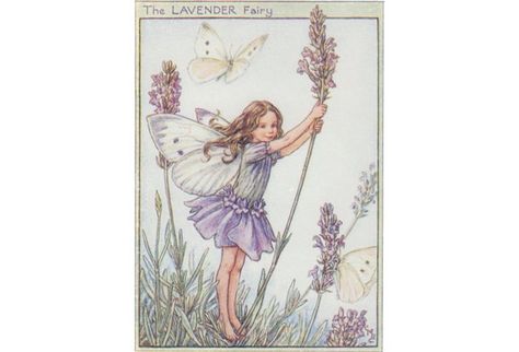 Lavender Fairy, C. 1950 Lavender Fairy, Fairy Stickers, Summer Fairy, Cicely Mary Barker, Flower Fairies, Flower Fairy, Book Plates, Pattern Names, Styl Vintage