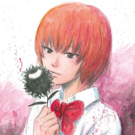 Aku No Hana, Flowers Of Evil, The Flowers Of Evil, Junji Ito, Cute Rappers, Bear Figurine, Anatomy Drawing, Cute Art Styles, Profile Photo