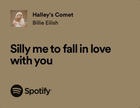 Silly Me To Fall In Love With You, Billie Lyrics, Halley's Comet, Meaningful Lyrics, Type Shi, Silly Me, File Cabinet, Billie Eilish, Falling In Love