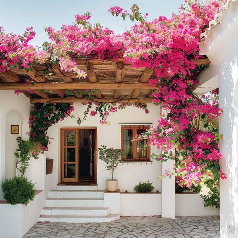 Bougainvillea Front Of House, Buganvilla Ideas Yards, Carribean House, Small Cottage House, Bougainvillea Plant, Easy Pumpkin Pie Recipe, Fence Edging, Pumpkin Pie From Scratch, Neapolitan Cake