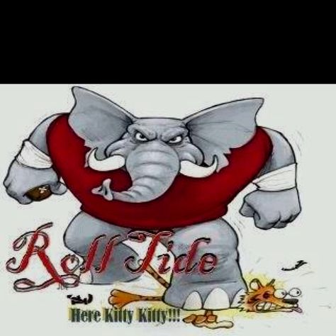 Here Kitty Kitty Alabama Football Logo, Alabama Football Funny, Alabama Football Quotes, Alabama Vs Auburn, Alabama Football Shirts, Alabama Crimson Tide Football Wallpaper, Alabama Football Team, Alabama Crimson Tide Logo, Alabama Football Roll Tide