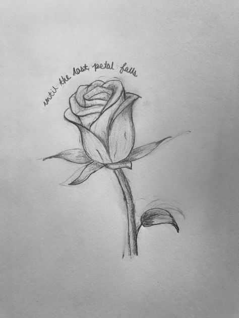 Until The Last Petal Falls Tattoo, Until The Last Petal Falls, Beauty And The Beast Tattoo, Autumn Tattoo, Lotus Flower Tattoo, The Beast, Beauty And The Beast, Drawing Sketches, Flower Tattoo