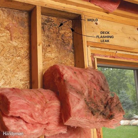 If mold is growing on an exterior wall or ceiling, first look for a leak in the wall or roof. Measure from the moldy area to a reference point like a door, then find the spot on the other side of the wall or ceiling. Closely inspect nearby vents, roof flashing, decks, window wells and anywhere wood is rotting. Look for ground sloping toward the house and downspouts emptying next to the wall. If the ground around the house gets too wet, moisture will wick into the foundation or slab and become... Diy Insulation, Rigid Insulation, Roof Sheathing, Gutter Repair, Leaky Roof, Mildew Remover, Roof Flashing, Diy Christmas Decorations, Spray Foam