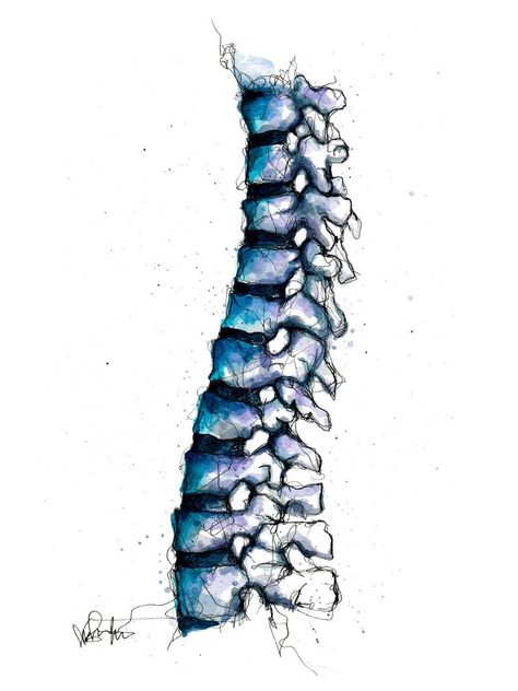 Super cool blue and purple watercolor spine painting! Would make a cool piece for the office or at home. Doctors, chiropractors, neurosurgeons, etc. - Anatomy Art Print Watercolor Ink Vertebrae // by 1flychicken creations #etsyart #chiropractic #wallart #neuro Cool Anatomy Art, Spine Painting, Spine Watercolor, Spine Illustration, Vertebrae Art, Spine Drawing, Anatomy Painting, Spine Art, Chiropractic Art