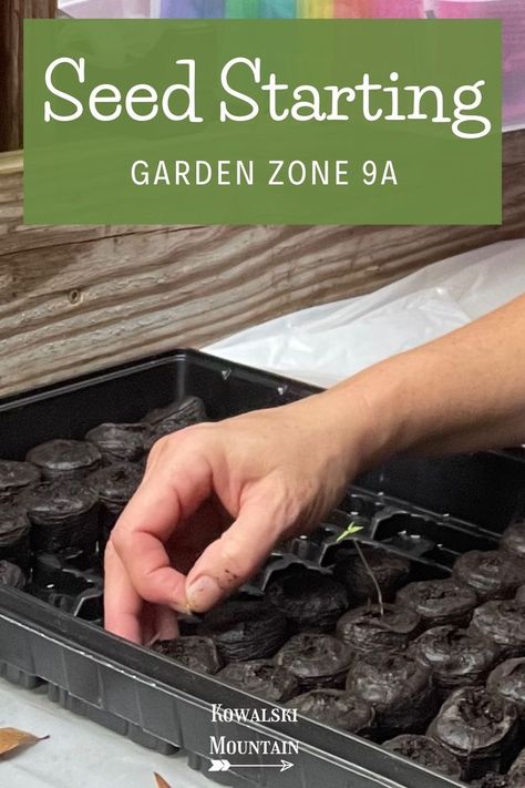 hand planting a seed with a time seedling Seed Starting Indoors, Starting Garden, Planting Calendar, Seed Starting Mix, Gardening Zones, Starting Seeds Indoors, Homestead Gardens, Zone 9, Natural Pregnancy