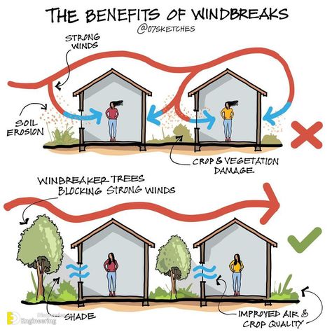 Important Information With Illustration Every Engineer Need To Know - Engineering Discoveries Passive House Design, Eco House Design, Landscape And Urbanism Architecture, Passive Design, Landscape And Urbanism, Passive House, Green Architecture, Architecture Design Concept, Earthship