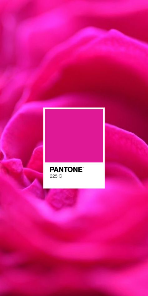 Hot Pink Pantone, Hot Pink, Pink, Movie Posters, Color