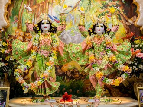 Sri Sri Gaura Nitai Iskcon Hungary, Gaura Nitai, Altar Art, Srila Prabhupada, Sri Sri, Radha Krishna Pictures, Krishna Pictures, Lord Krishna Images, Body Wraps