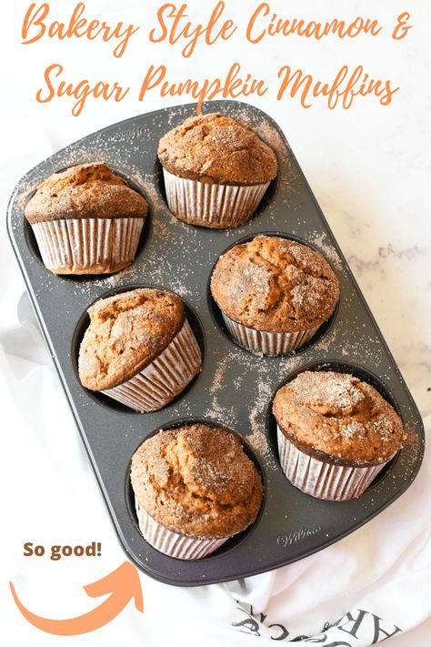 Jumbo Bakery Style Pumpkin Muffins Muffin Photography, Nut Breads, Brekkie Ideas, Blueberry Yogurt Muffins, Best Pumpkin Muffins, Recipes Muffins, Muffins Pumpkin, Double Chocolate Chip Muffins, Bread Biscuits